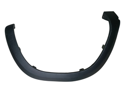 MOLDURA PARALAMA DIANTEIRO DIREITO KWID 2018 A 2025 