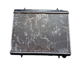 Radiador Água C4 Pallas 2.0 16v 2007 2008 2009 2010 a 2013
