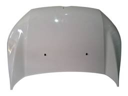 Capô Dianteiro Ecosport 2013 2014 2015 2016 2017 C/DET