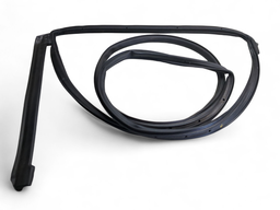 BORRACHA PORTA TRASEIRA DIREITA (PINGADEIRA) TRACKER 2020/..