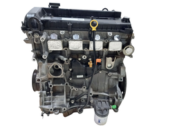 Motor Focus 2009 a 2013 Ecosport 2009 a 2017 2.0 Flex Durate