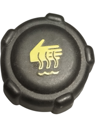 Tampa Reservatório de Água do Radiador Renault Sandero 