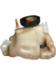 RESERVATÓRIO GASOLINA PARTIDA FRIO RENAULT SANDERO 2009 2014