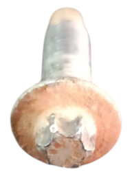 PARAFUSO CÁRTER RENAULT 1.6 2.0 8V 16V ORIGINAL USADO