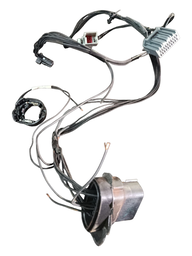 CHICOTE INTERNO FAROL FORD EDGE 2019 A 2020 ORIGINAL