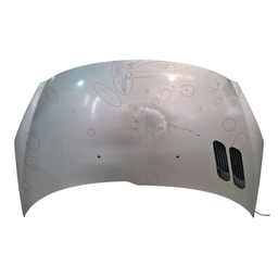 Capô Dianteiro Peugeot 207 2009 a 2014 Hoggar 2010 a 2014