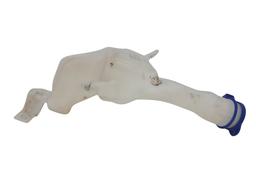 RESERVATÓRIO LIMPADOR PARABRISA FORD KA 2015/... C/ DETALHE