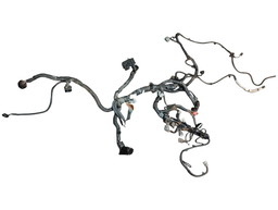 CHICOTE INJEÇÃO NISSAN SENTRA 2.0 2014 A 2020