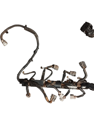 CHICOTE INJEÇÃO NISSAN SENTRA 2.0 2014 A 2020