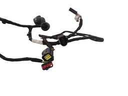 CHICOTE PORTA DIANTEIRA DIREITA ECOSPORT 2008 A 2012