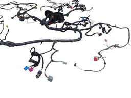 CHICOTE CAIXA FUSÍVEL ECOSPORT 2.0 4WD 2008 A 2012 