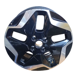 Roda avulsa aro 16 byd dolphin ev 2024 2025