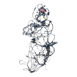 Chicote INTERNO Fluence Dynamique 2.0 12 C SOLAR 240184937R