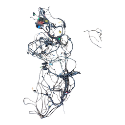 CHICOTE INTERNO FLUENCE DYNAMIQUE 2.0 12 C SOLAR 240184937R