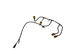 Chicote Bico Injetor  Ecosport 2.0 2009 a 2012