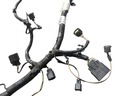 CHICOTE DE INJEÇÃO ELETRÔNICA ECOSPORT 2.0 16V 2009 A 2012