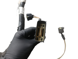 CHICOTE DE INJEÇÃO ELETRÔNICA ECOSPORT 2.0 16V 2009 A 2012