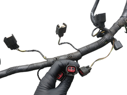 CHICOTE DE INJEÇÃO ELETRÔNICA ECOSPORT 2.0 16V 2009 A 2012