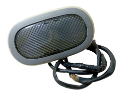 Luz Cortesia Interna Dianteira Clio 2000 2001 a 2016