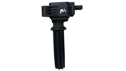 Bobina Fusion Focus Ecosport Evoque Xc60 Disc Sport 2.0 12/