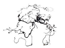 Chicote Caixa Fusível Carroceria Completo Fox Pepper 2017