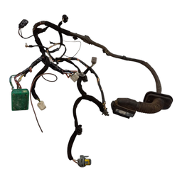 Chicote Porta Dianteiro Esquerdo Sportage 2.0 Ex 2011 A 2026