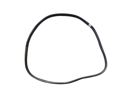 Borracha Porta Traseira Esquerda (Carroceria) EcoSport 13/21