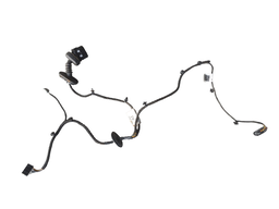 CHICOTE PORTA TRASEIRA DIREITA ECOSPORT 2018 A 2021 