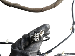 CHICOTE DA TAMPA TRASEIRA ECOSPORT 2019 A 2021