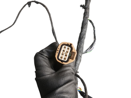 CHICOTE CARROCERIA ECOSPORT 2.0 STORM 2018 A 2021