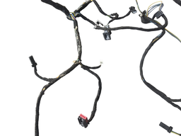 CHICOTE DO TETO ECOSPORT 2018 A 2021 