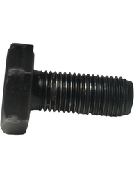 PARAFUSO VOLANTE MOTOR RENAULT SANDERO 1.6 2008 A 2014