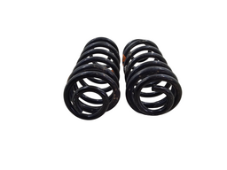  JOGO MOLAS TRASEIRAS ECOSPORT 1.5 1.6 2.0 2013 A 2021