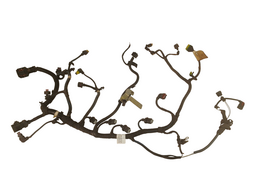 CHICOTE INJEÇÃO MOTOR ARGO/CRONOS 1.3 2017 A 2022