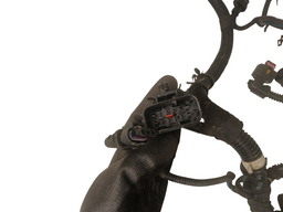 CHICOTE INJEÇÃO MOTOR ARGO/CRONOS 1.3 2017 A 2022