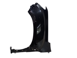 PARALAMA ESQUERDO DUSTER 2021 2022 2023/.. C/AMASSADO