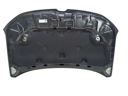 CAPO DIANTEIRO DUSTER 2021 2022/ C/AMASSADO