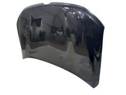 CAPO DIANTEIRO DUSTER 2021 2022/ C/AMASSADO