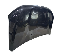 CAPO DIANTEIRO DUSTER 2021 2022/ C/AMASSADO