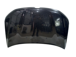 CAPO DIANTEIRO DUSTER 2021 2022/ C/AMASSADO