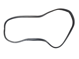 BORRACHA PORTA DIANTEIRA DIREITA GOL VOYAGE G5 G6 G7 G8