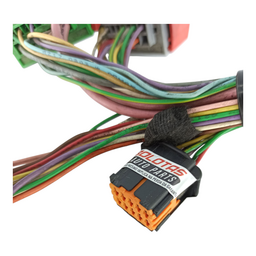 KIT CONECTORES CHICOTE BSM CAIXA FUSIV PEUGEOT 206 1.0 1.6 