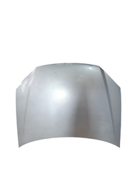 Capô Dianteiro Palio Siena Strada 2008 2009 a 2020