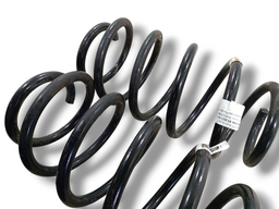 JOGO MOLA SUSPENSÃO DIANTEIRA BMW X5 2001 A 2005