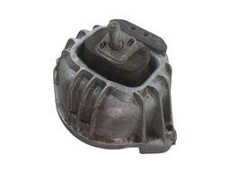 Coxim Do Motor Bmw 320  2004/2007