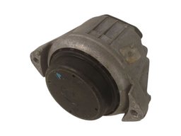 Coxim Do Motor Bmw 320 2004//07