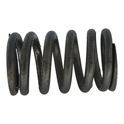 MOLA VALVULA FIAT TORO TIGERSHARK 2.4 16V