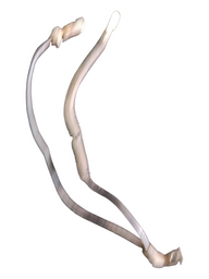 CABO POLO NEGATIVO BATERIA CITROEN PEUGEOT