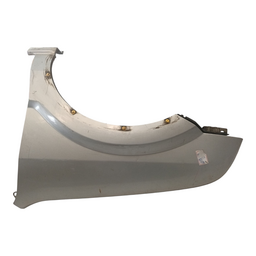 Paralama Esquerdo Ecosport 2003 2004 a 2007