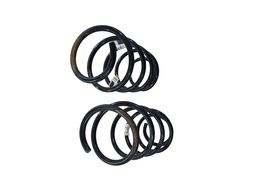 JOGO MOLAS DIANTEIRAS FOX SPACEFOX 1.0 1.6 2003 A 2022